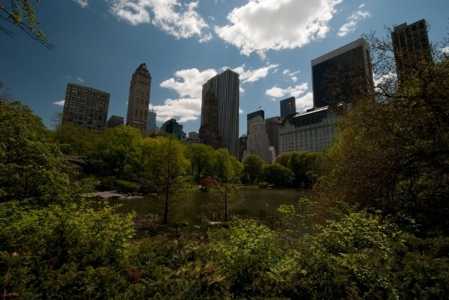 First impressions – an Englishman in New York DSC_1411 (640x428)
