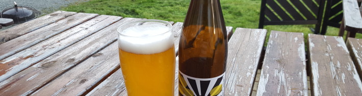 Grown-up Travel Guide Beer Diary: Day 231 Grown-up Travel Guide Beer Diary - Day 231: Blondie from Haandbryggeriet of Drammen, Norway