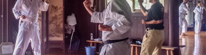 Experiencing the exotic in Okinawa, Japan – Central Main Island Karate