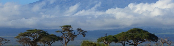 The path less trodden – Alternative routes up Mount Kilimanjaro Mount-Kilimanjaro
