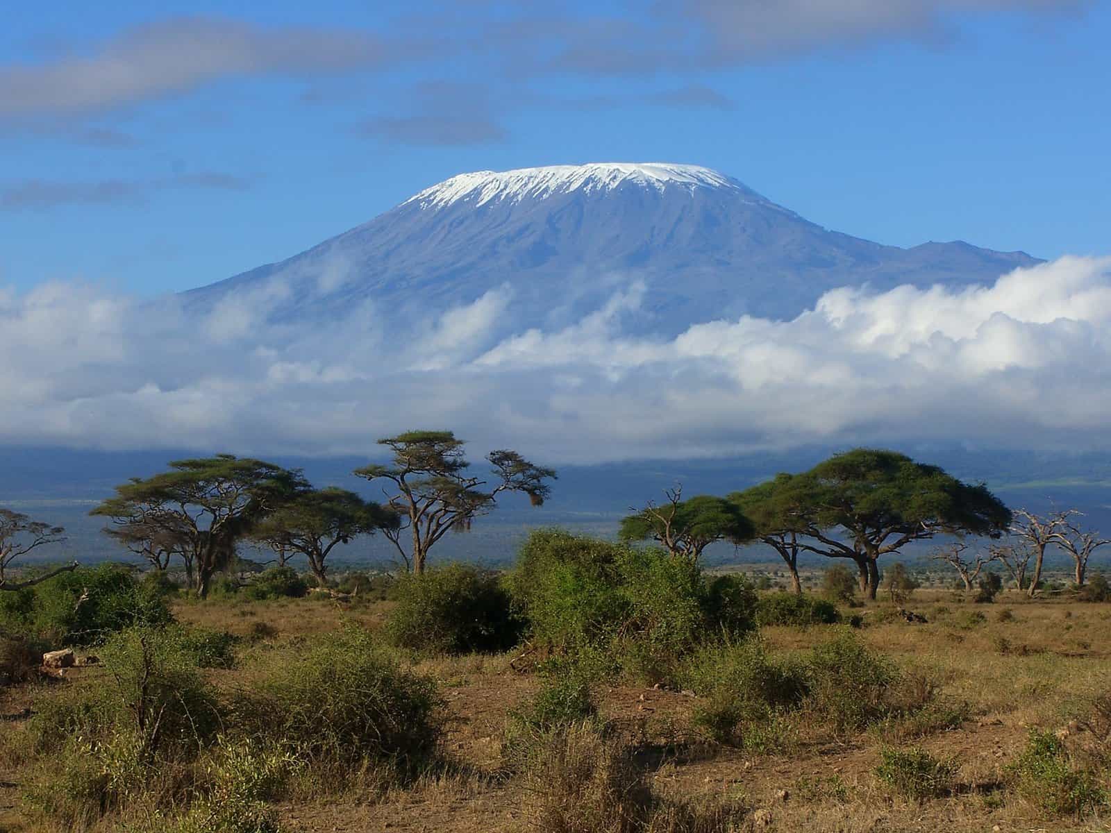 Image result for mountain kilimanjaro