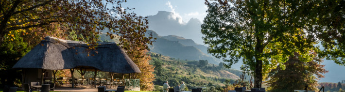 Road Tripping in South Africa: Part 4 – Champagne Castle Hotel, Drakensburg Grounds 1