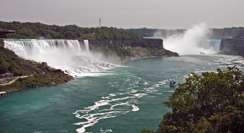 The Amazing Wildlife of Niagara Falls - Grown-up Travel Guide.com
