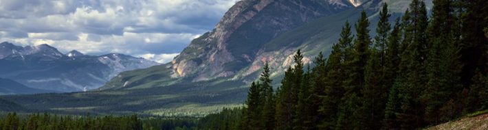 6 of the best…Road Trips in Canada 22527546517_2c03418132_b
