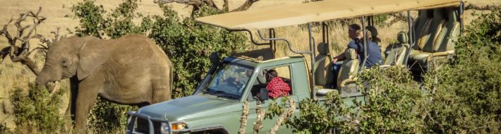 13 reasons why…you owe it to yourself to visit Africa Lewa ellie and vehicle