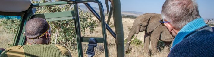 Our new tour company is open for business! Petter watching elephant