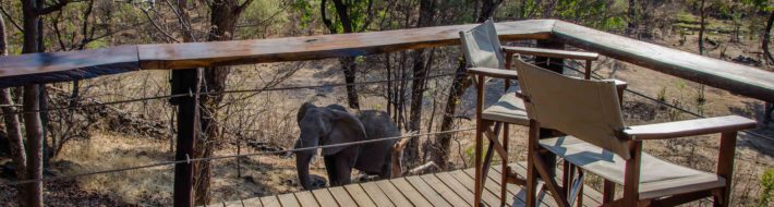 Accommodation Review: Masuwe Lodge, Victoria Falls, Zimbabwe Ellie from terrace