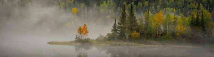 Best Places To Go For Your Hunting Holiday landscape-4547734_1280